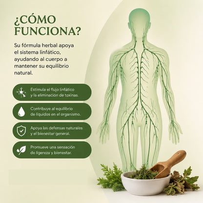 Lymphatic Drainage™: apoyo natural para sentir tu cuerpo más ligero y recibe GRATIS el "Método Cuerpo Desinflamado" Guía virtual