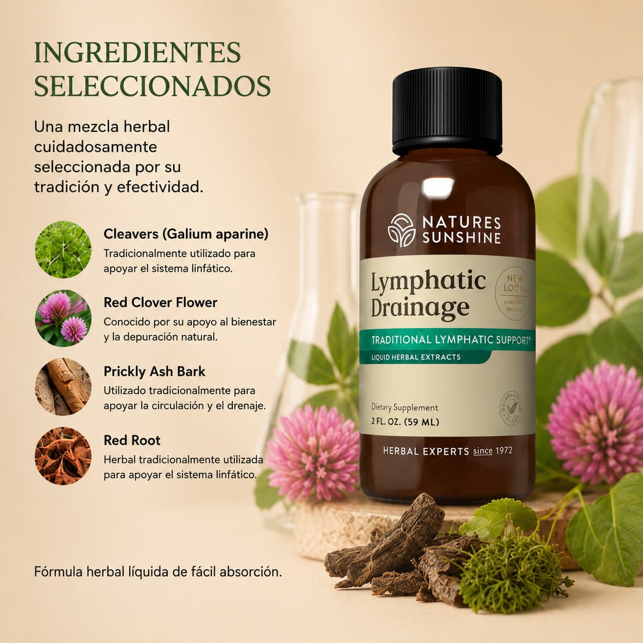 Lymphatic Drainage™: apoyo natural para sentir tu cuerpo más ligero y recibe GRATIS el "Método Cuerpo Desinflamado" Guía virtual